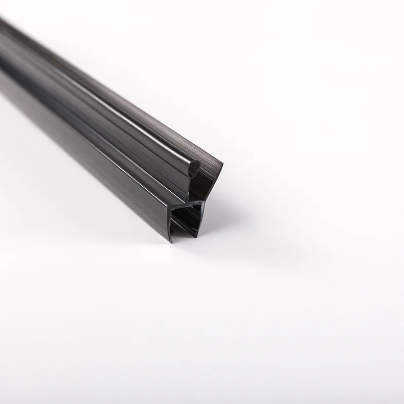Shower Glass Door Seal